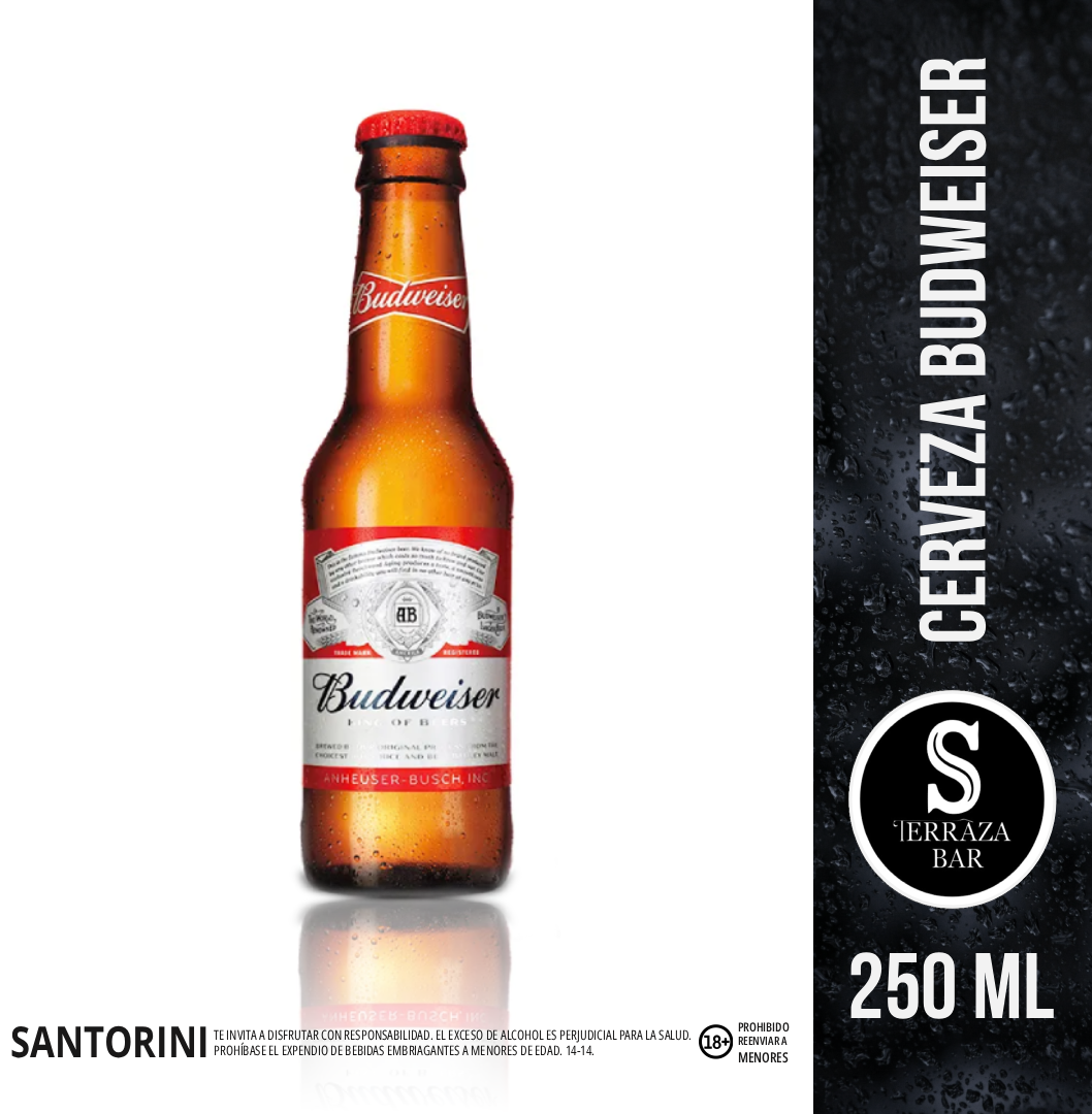 Cerveza budweiser lata - 250 ML